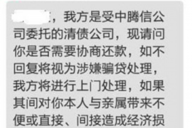 大城专业讨债公司有哪些核心服务？